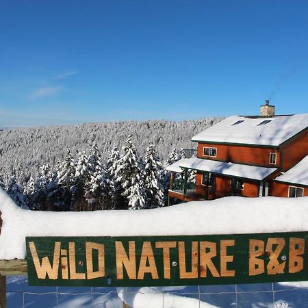 Wild Nature B&B ケロウナ エクステリア 写真