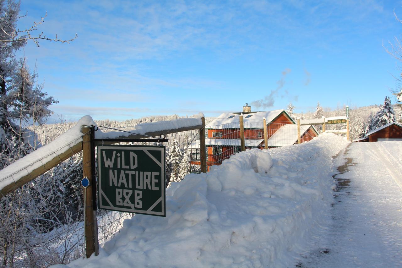 Wild Nature B&B ケロウナ エクステリア 写真